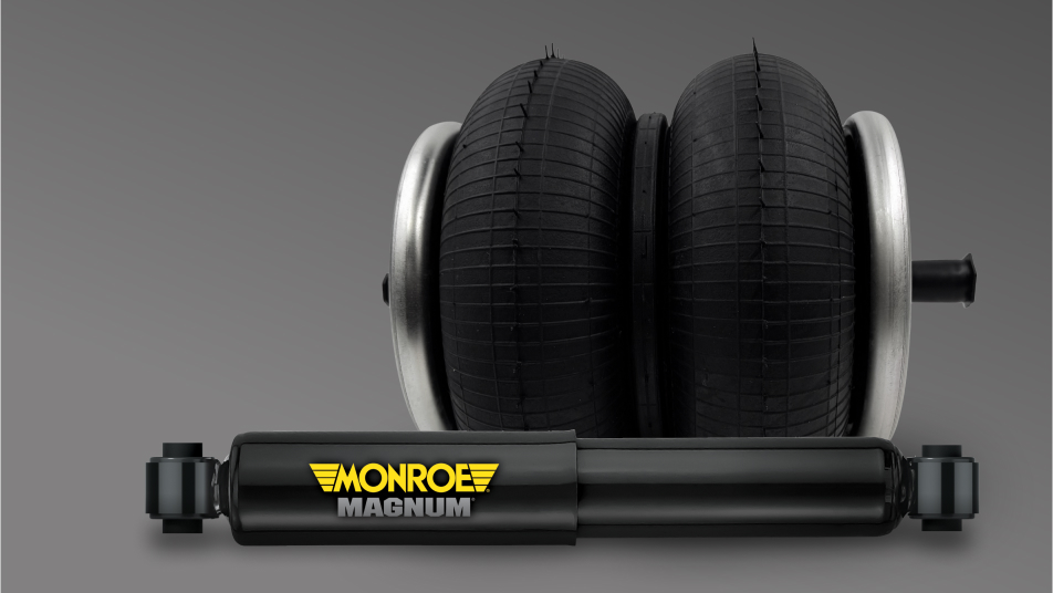 Monroe brand air spring and shock