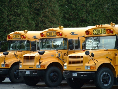 School Bus Vehicle